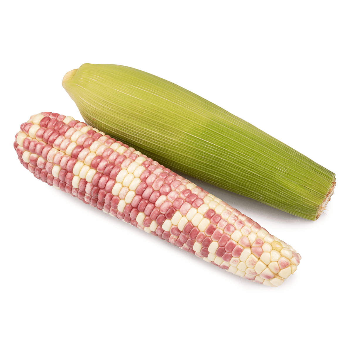 Elote de tres colores 1 count