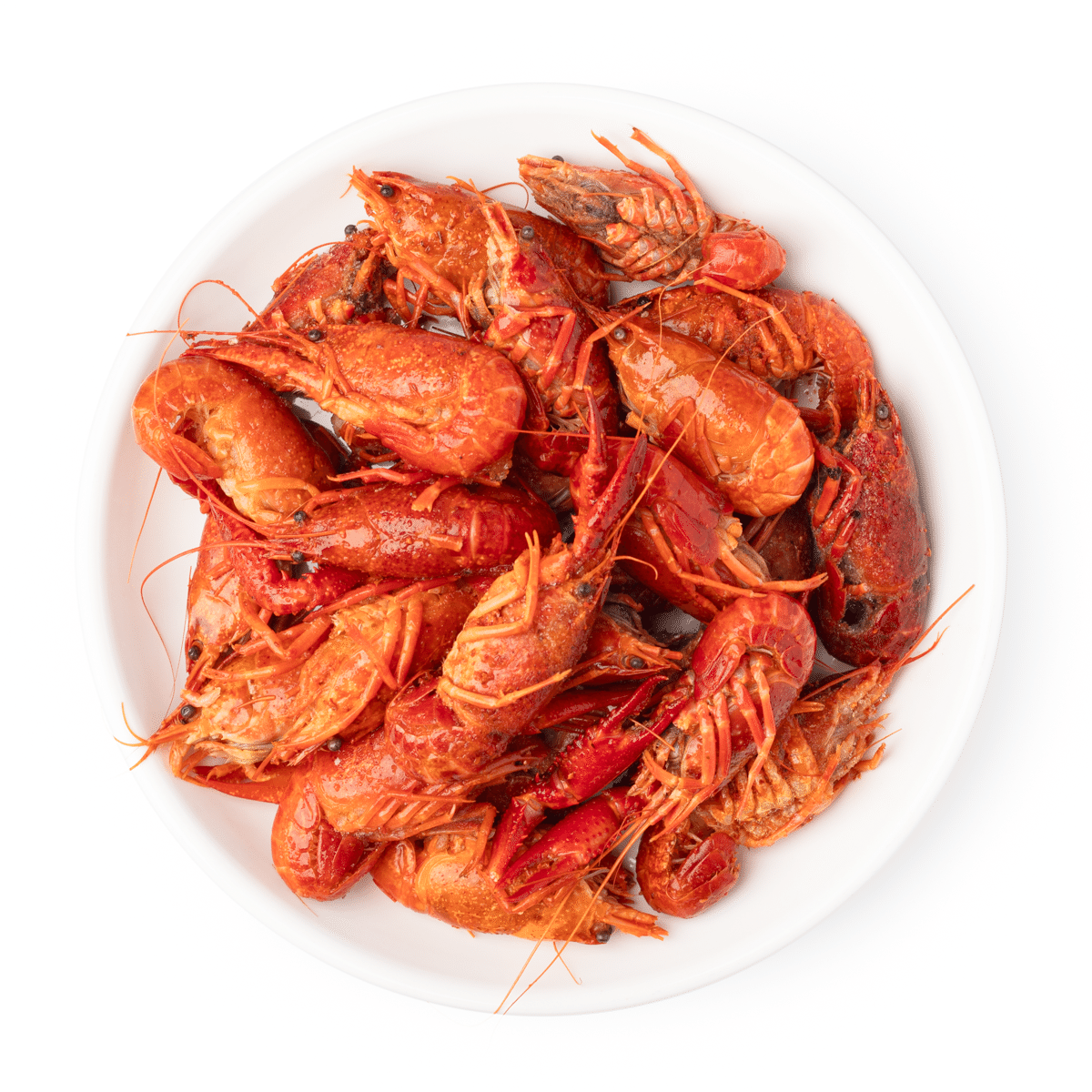 Egypt Whole Cooked and Seasoned Crawfish Median Size 16-22ct/lb, Frozen 5 lb