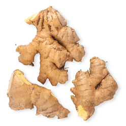 Organic Fresh Ginger 8 oz