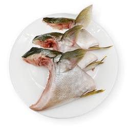 Yellowtail Hiramasa Collar, Frozen 16 oz