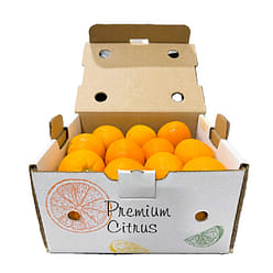 Navel Orange Box 10 lb