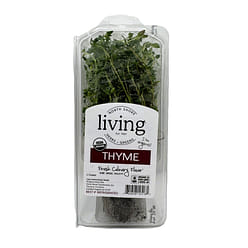 Organic Living Thyme 1 each