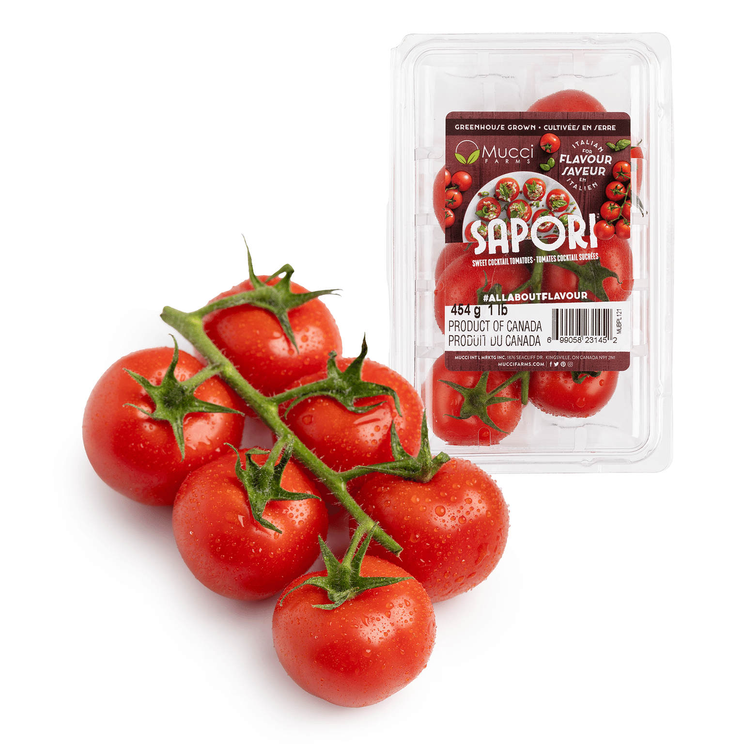 캄파리 토마토 1 파운드