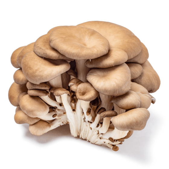 weee_green_Oyster Mushrooms 6 oz