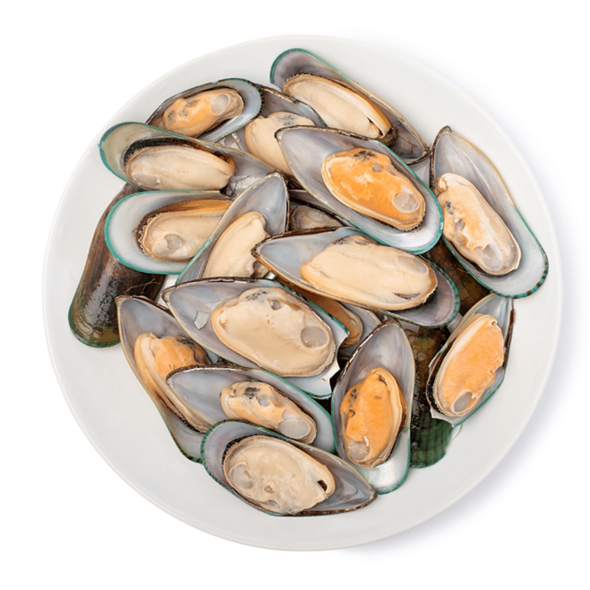 New Zealand Half Shell Greenshell Mussels 2 lb