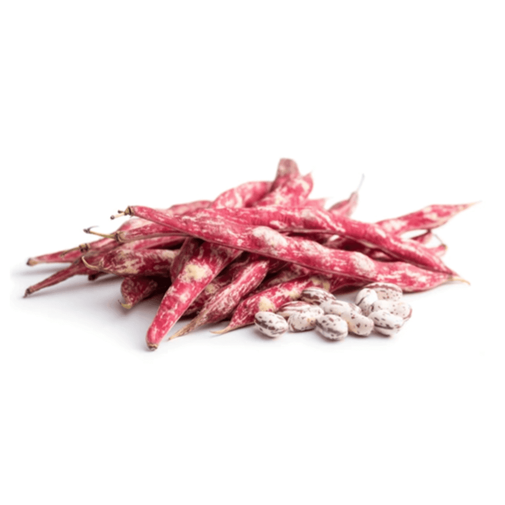 Cranberry Bean 1 lb