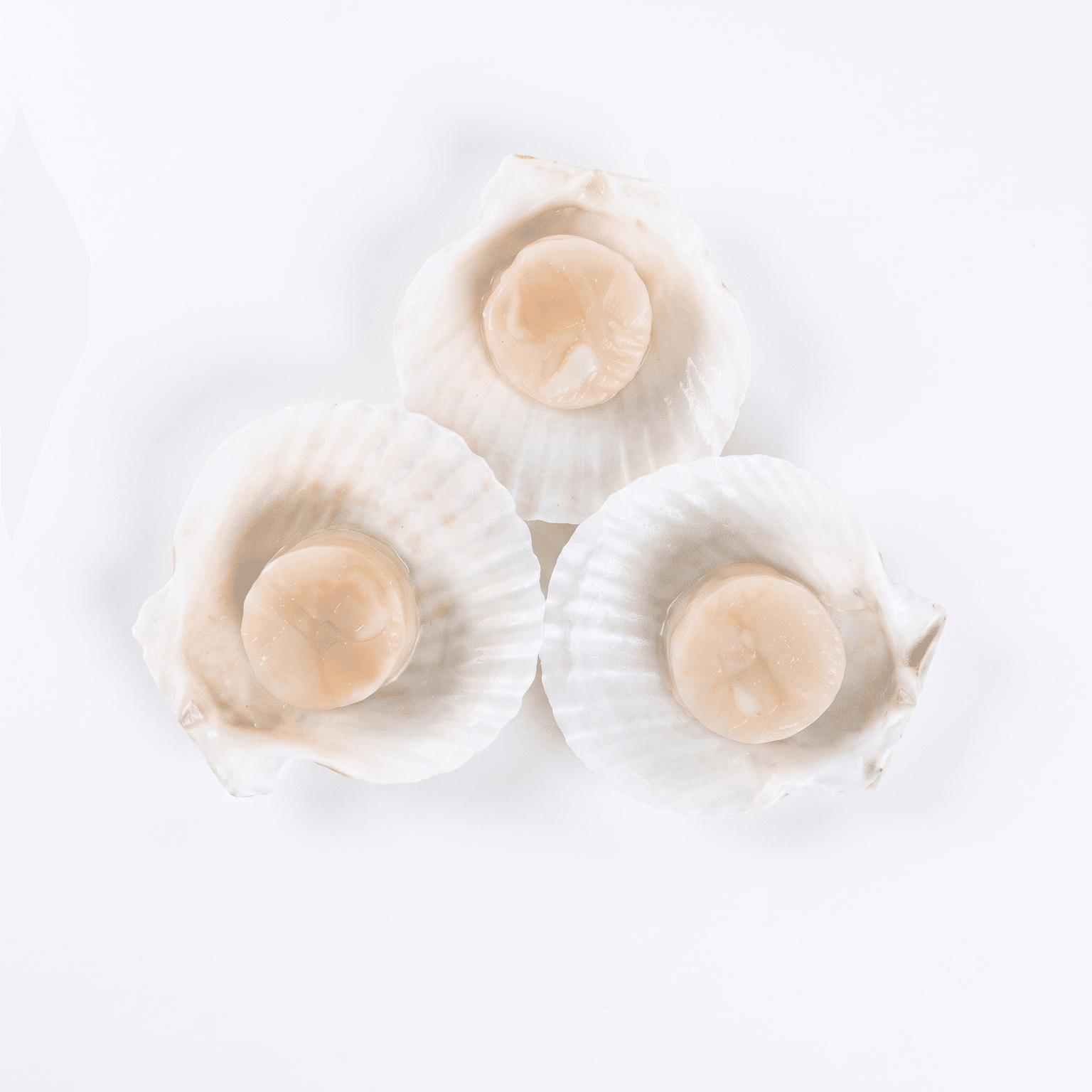 Thịt Sò Điệp Nửa Vỏ, Cỡ Lớn 265 g