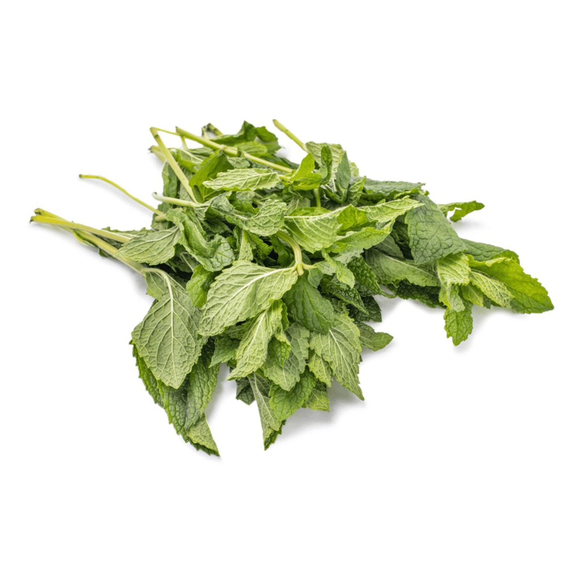 Mint 1 bunch