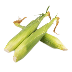 Yellow Corn 1 count