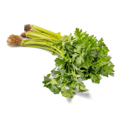 Chinese Celery 1.95-2.05 lb