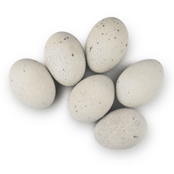 Xu Ri Preserved Duck Egg 360g 60 g*6 pack