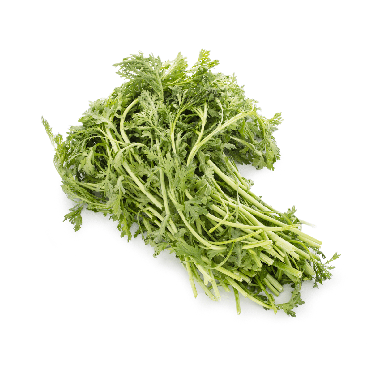 Tong Ho (Chrysanthemum Greens) 1 lb