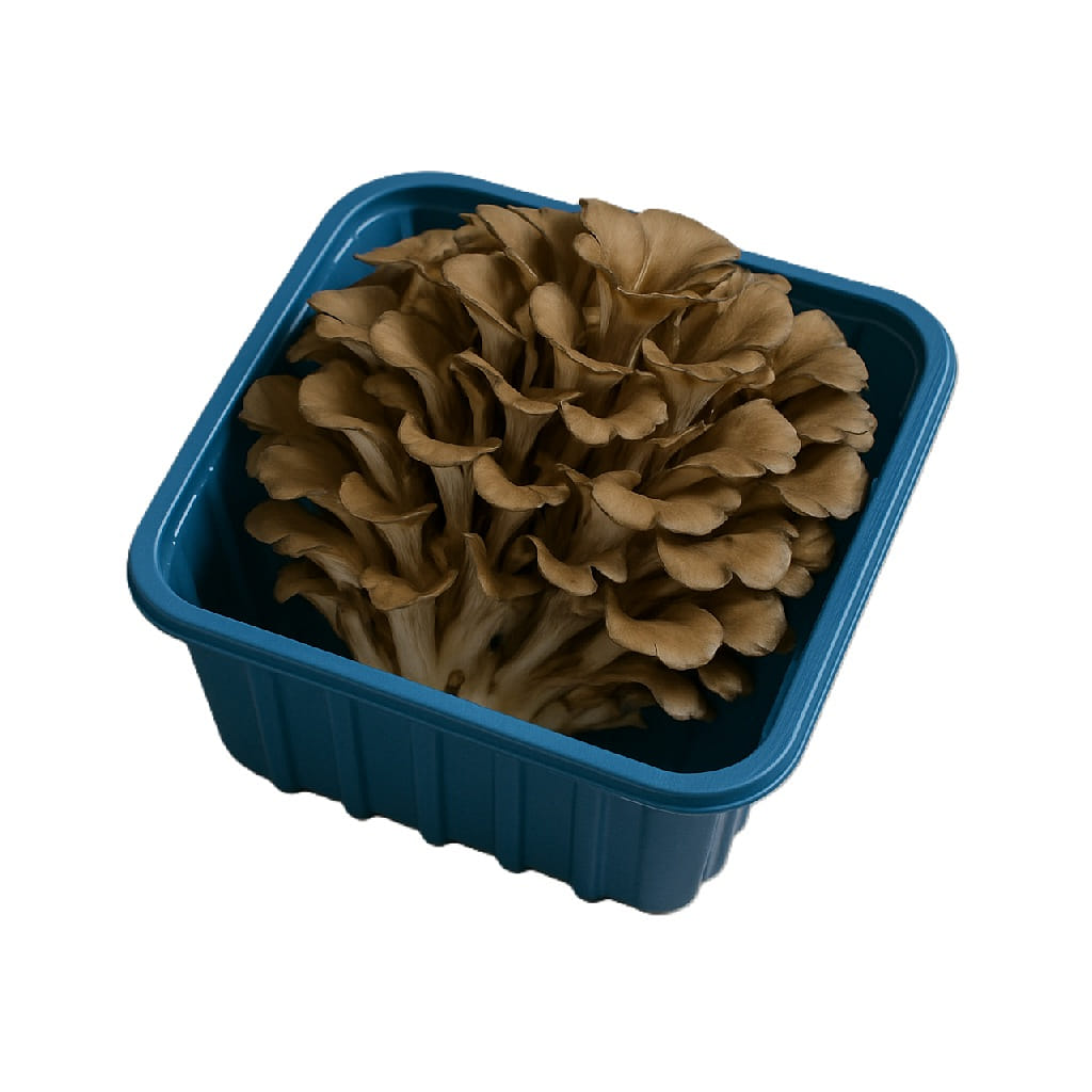 Maitake Mushrooms 8 oz
