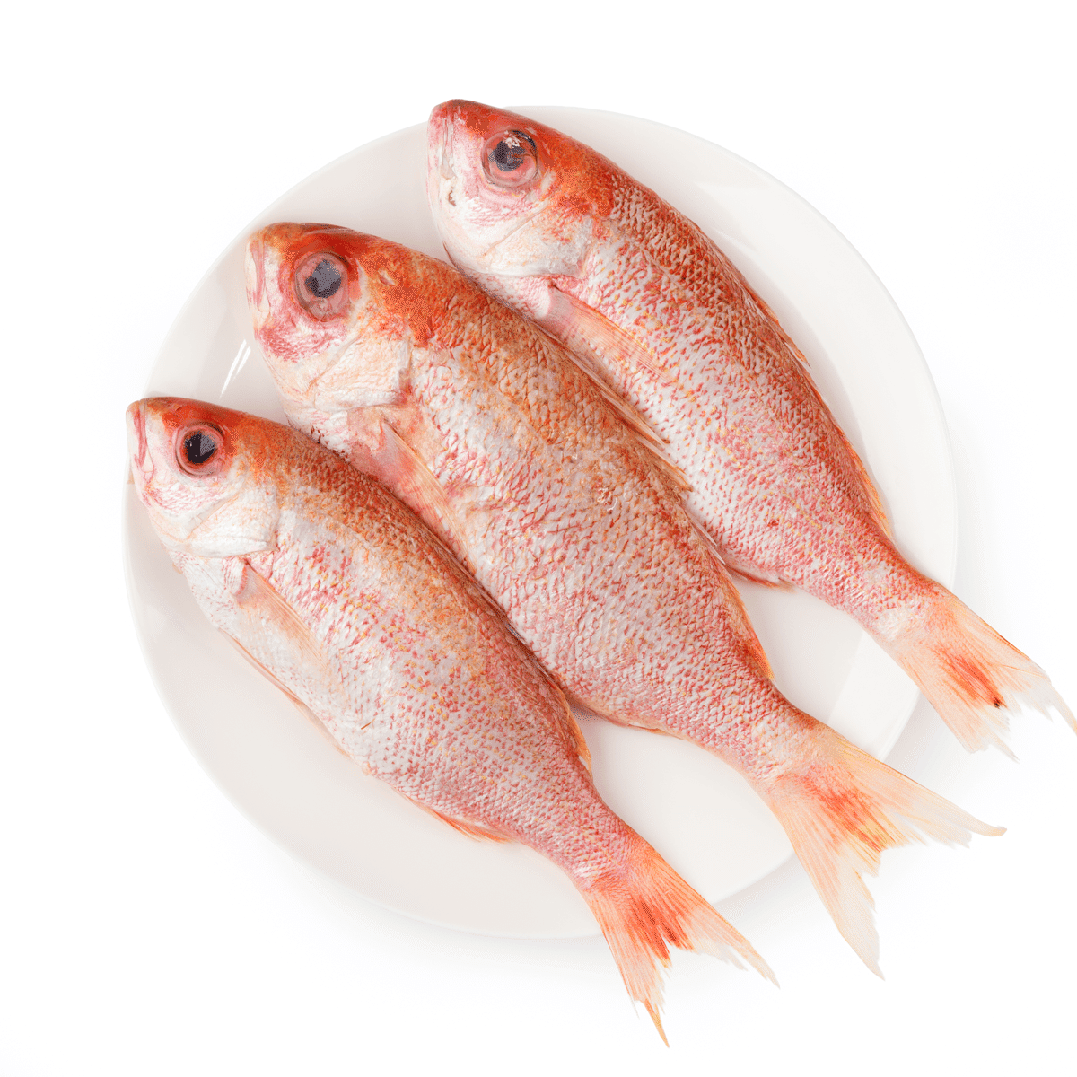 Pargo entero 2 libra(s)
