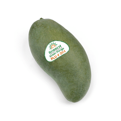 Small Thai Green Mango 1 개입