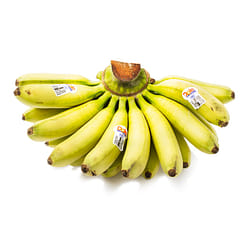 Baby Banana 2.8-3.2 lb