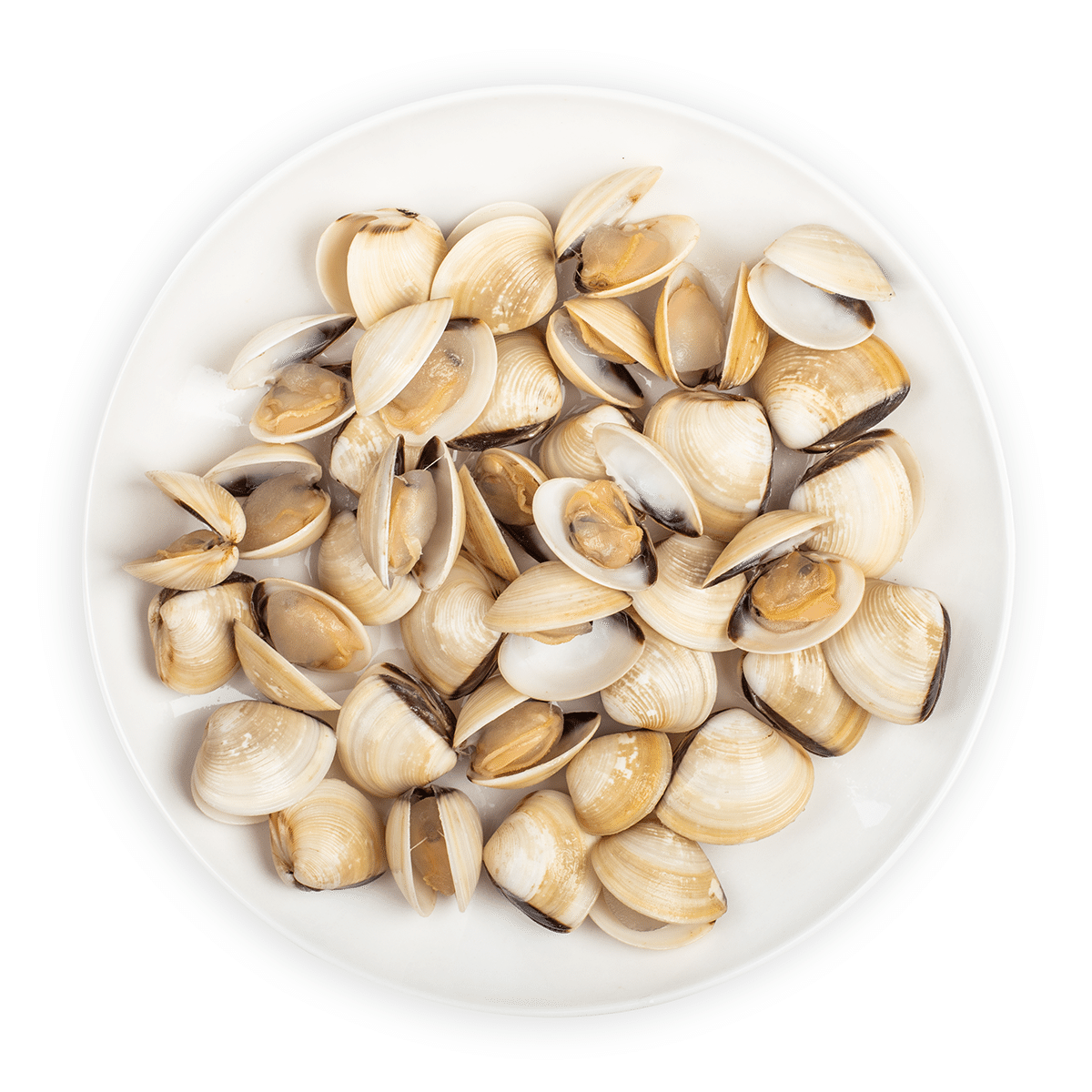 Frozen Asia White Clam, Frozen 2 lb