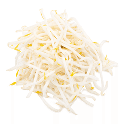 Mung Bean Sprouts 12 oz