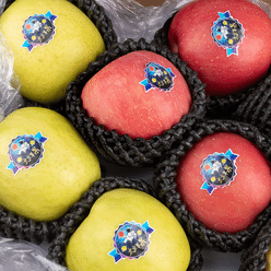 Space Apple 1 박스