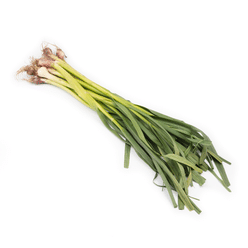 Chinese Purple Young Leek 1 lb