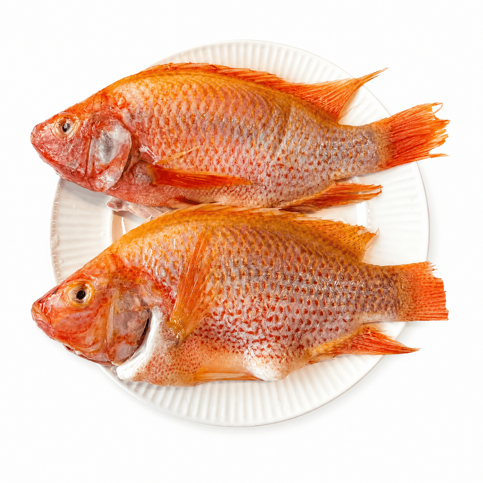 Tilapia Roja Arcoíris Entera Congelada, Limpia 2 libra(s)