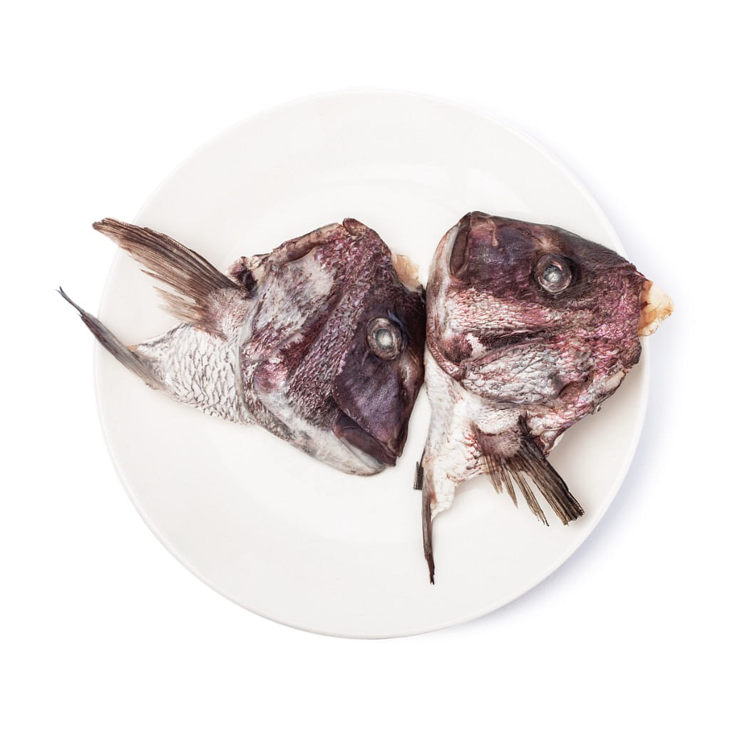 Japanese Sea Bream Head with Kama, Frozen 350 g