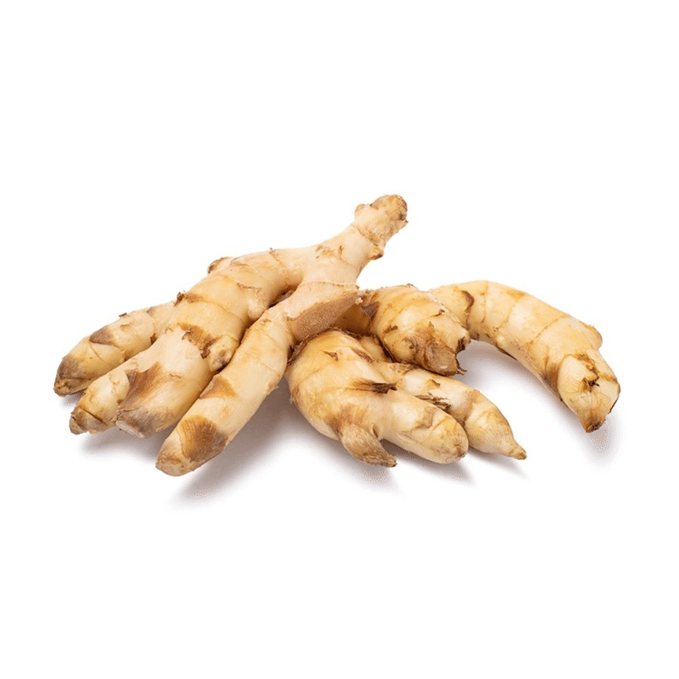 新物　新生姜　安いよ　755 楽天市場】新生姜 ☆お試し約500g 約1kg 約2kg 約4kg箱 高知県産