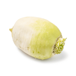 Korean Radish 2.7-3.5 lb
