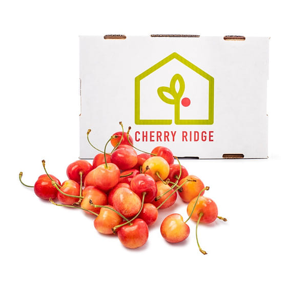 Washington Rainier Cherries Gift Box 5 lb