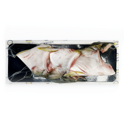 Yellowtail Hiramasa Collar, Frozen 16 oz