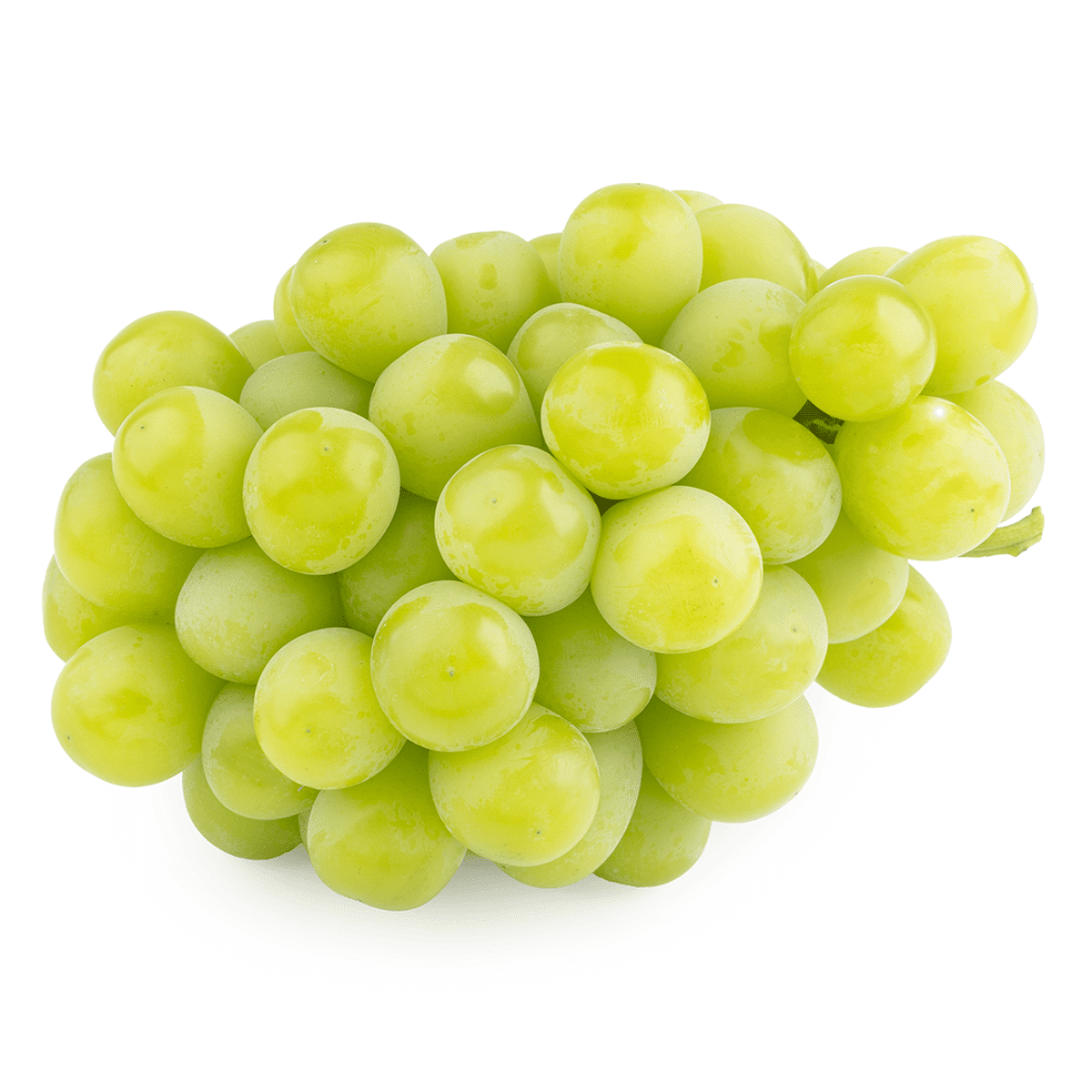 California Shine Muscat 1.2-1.6 lb