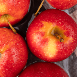 Gala Apples 4.8-5.2 lb