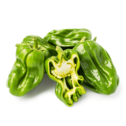 Cachucha/Gustoso (Ají Dulce) 8 oz