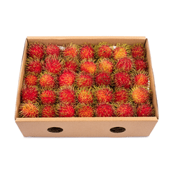 Rambutan Box 4.5-5 lb