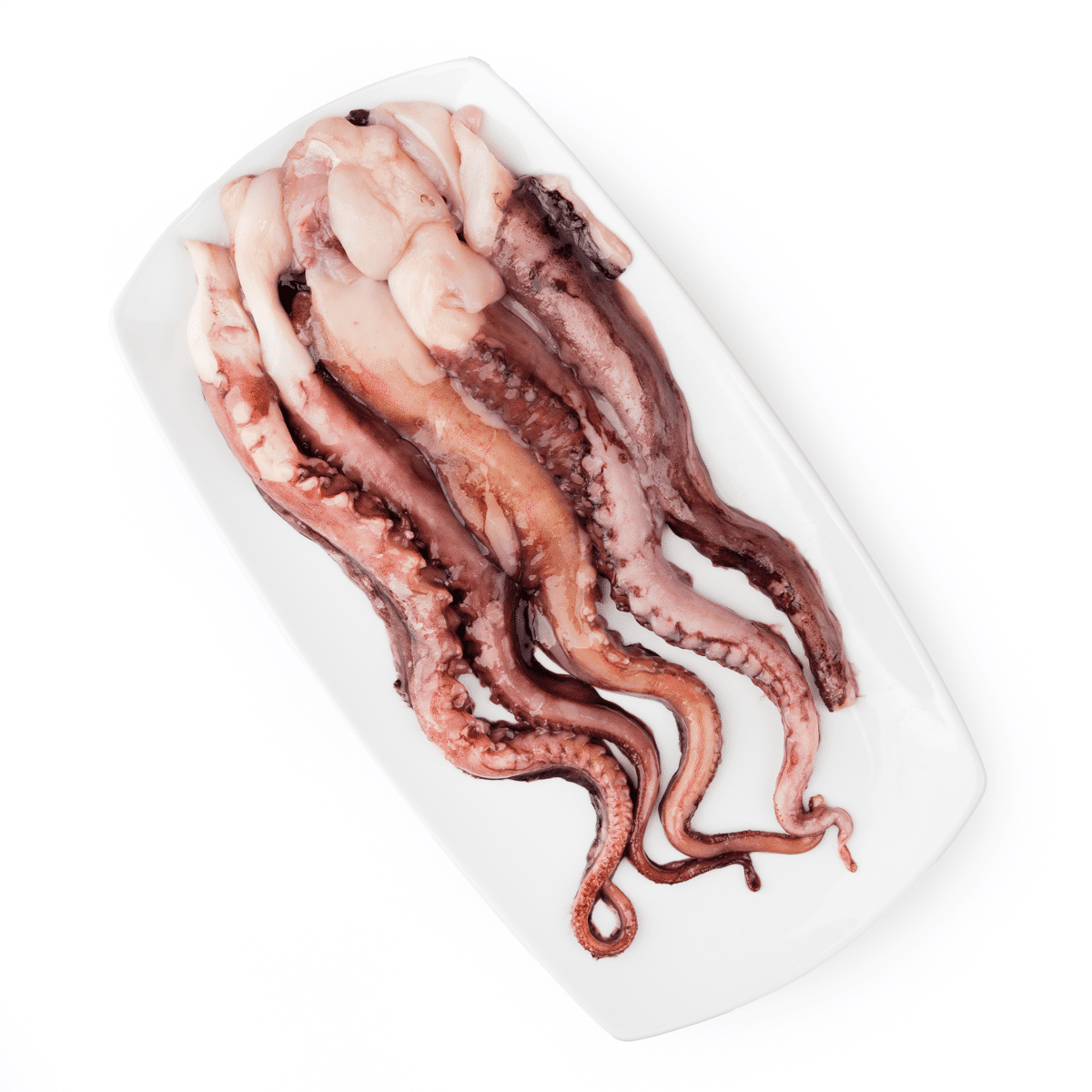 Peru Giant Squid Tentacles, Frozen 16 oz