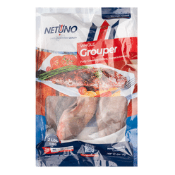 Netuno Wild Caught Whole Grouper, Fully Cleaned, Frozen 2 lb