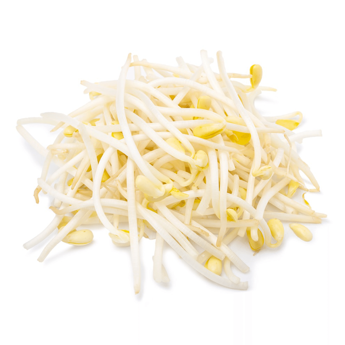Brotes de Soja 1 libra(s)
