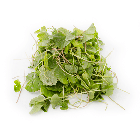 weee_green_Rau Má Tươi 1 lb