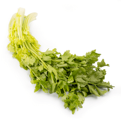 Chinese White Celery 1 lb