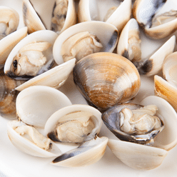 Oyster Bay Whole Brown Clams 1 lb