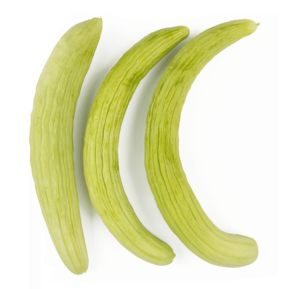Indian Cucumber 1 lb