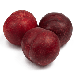 Red Plum 2 lb