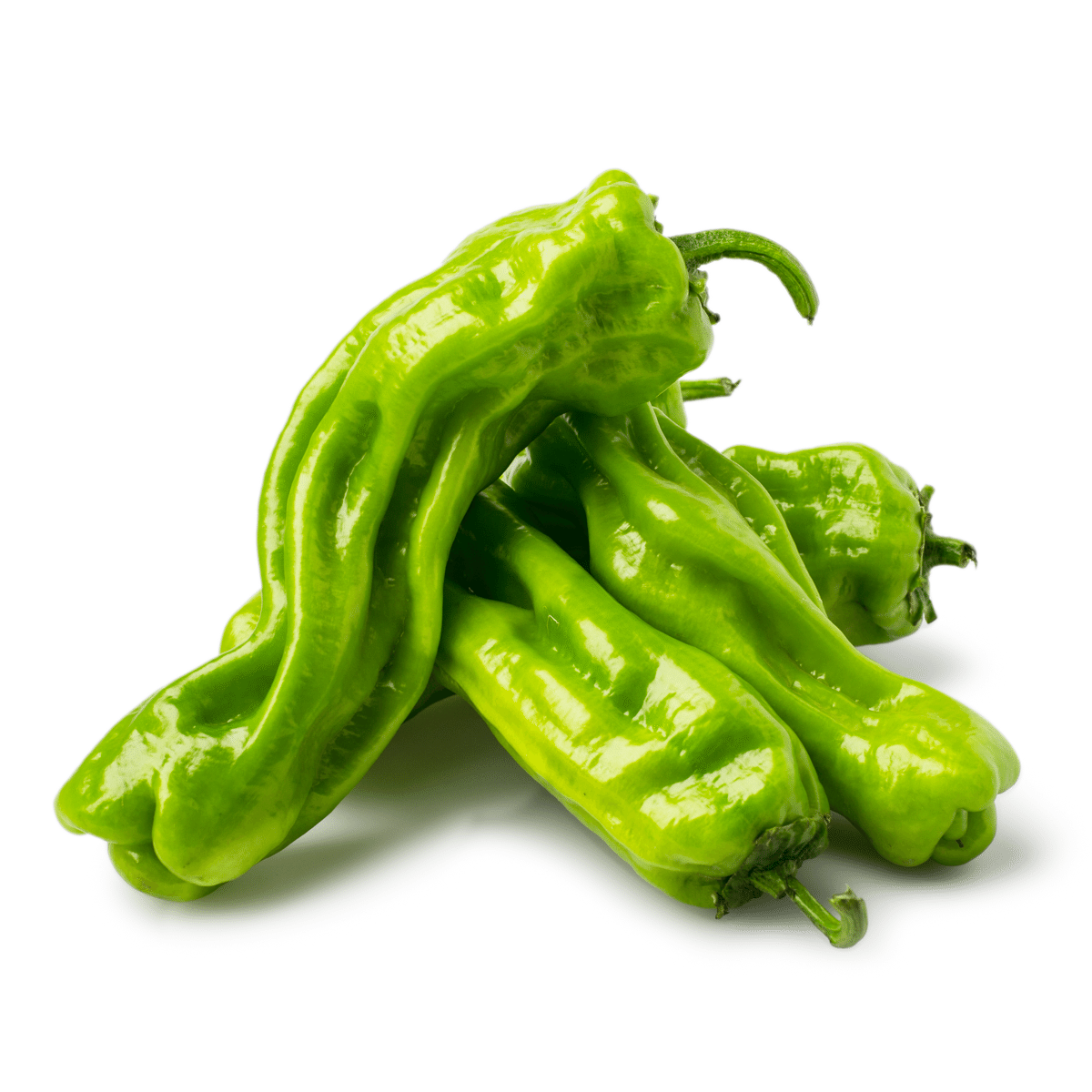 Chile Horse Pepper 0.95-1.05 libra(s)