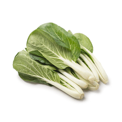 Long Bok Choy 2 lb