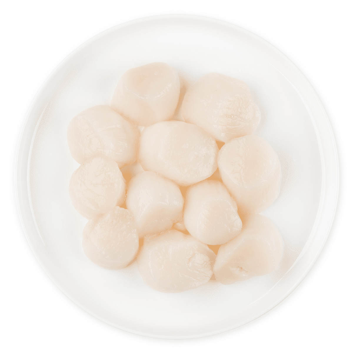 USA Jumbo Scallop 10/20ct, Frozen 10 oz
