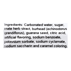 MATE AND GUARANA SODA 350 ml