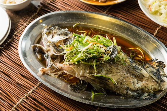 Image result for 台湾龙虎斑