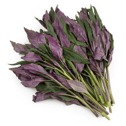 Okinawan Spinach 1 lb