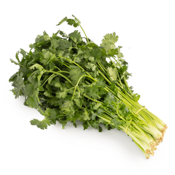 Cilantro with Root 1 bunch