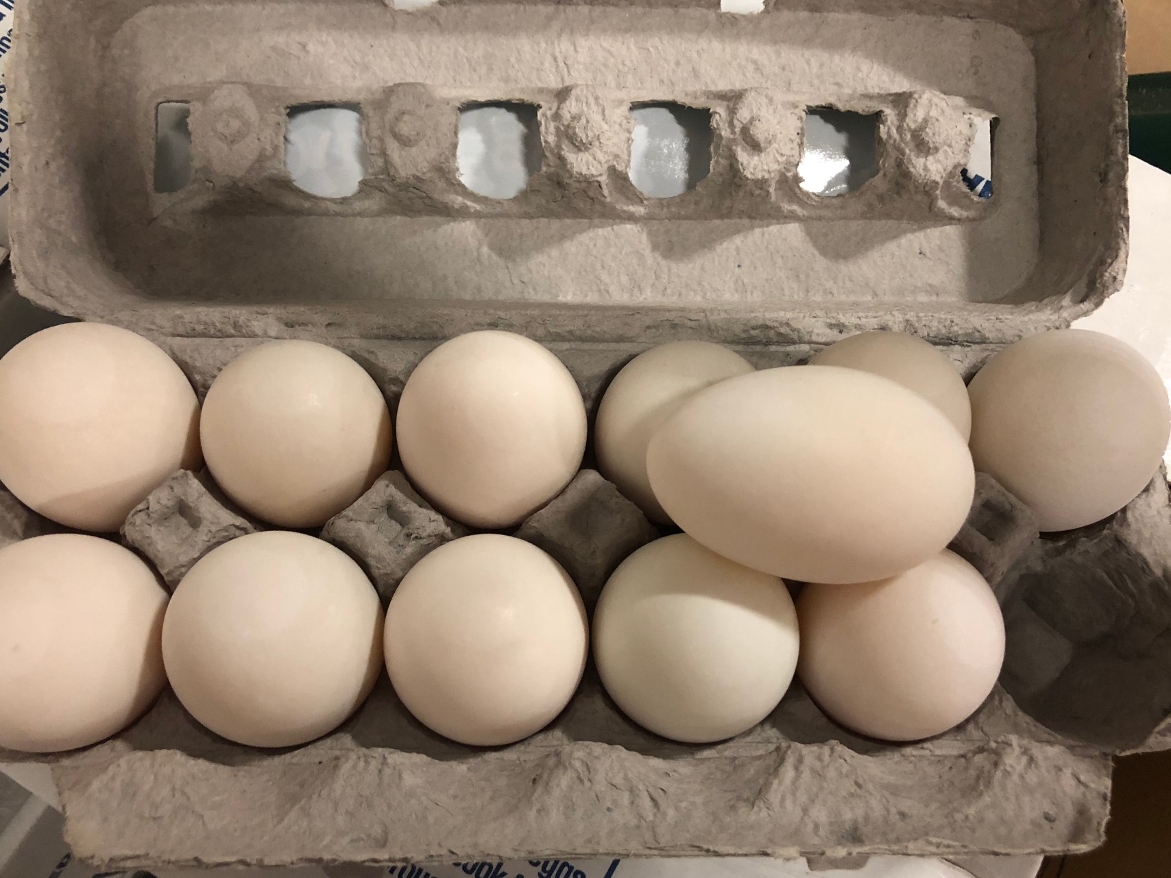 アヒルの卵 鴨卵1箱 - Weee!